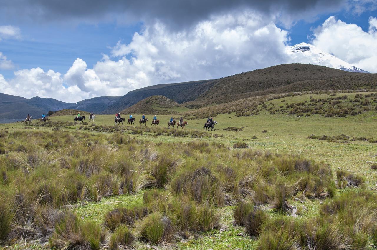 Hotel Tambopaxi Machachi Exteriör bild